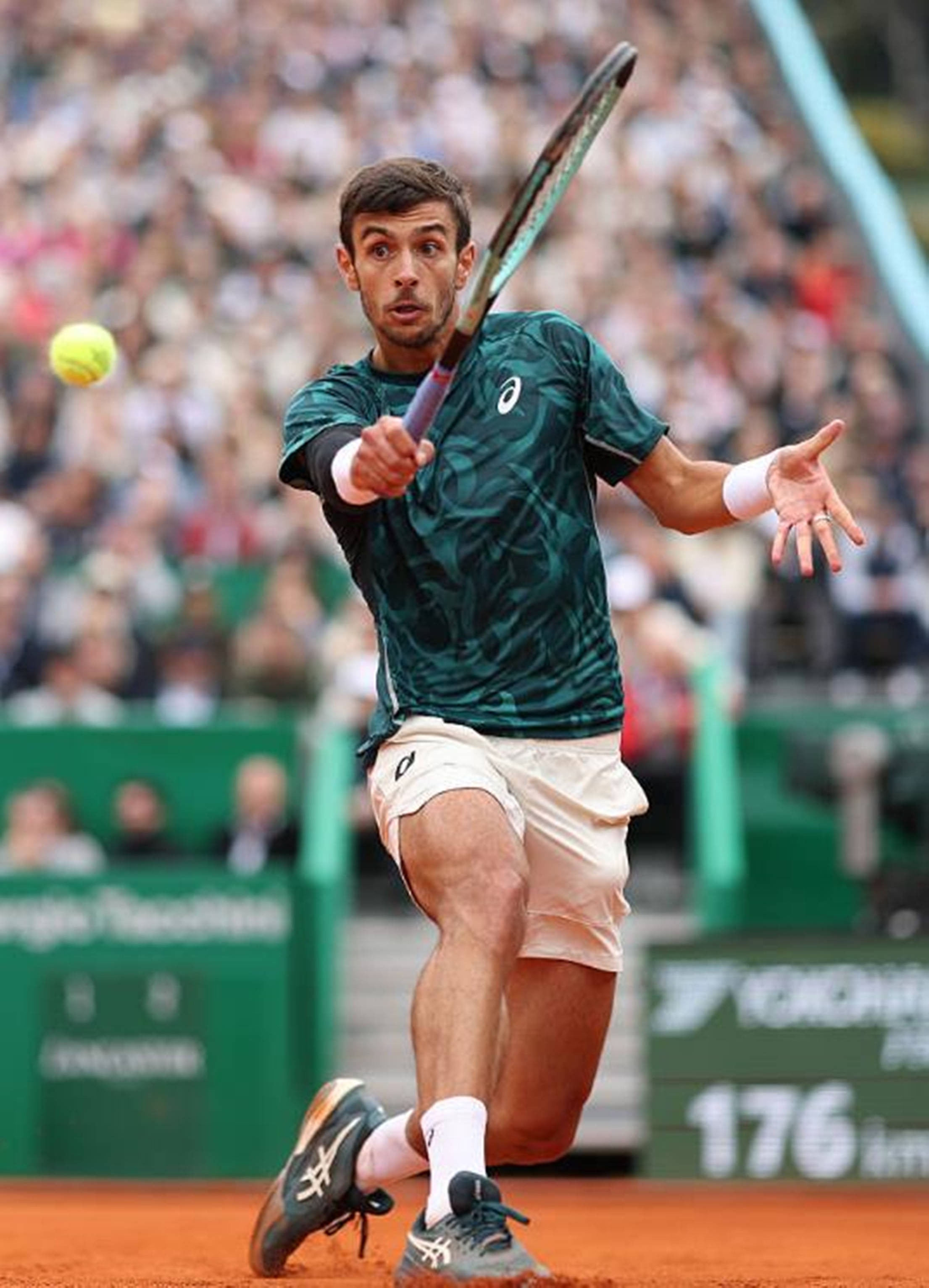 大概率会安 大概率会安